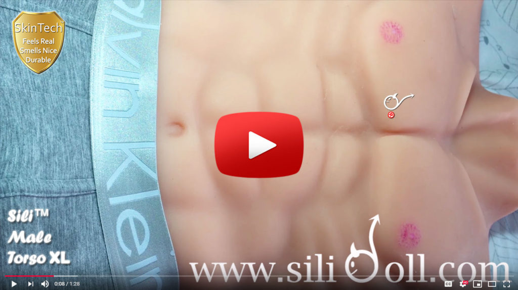 Male Sex Doll Torso New X Video